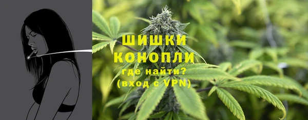 метадон Вяземский