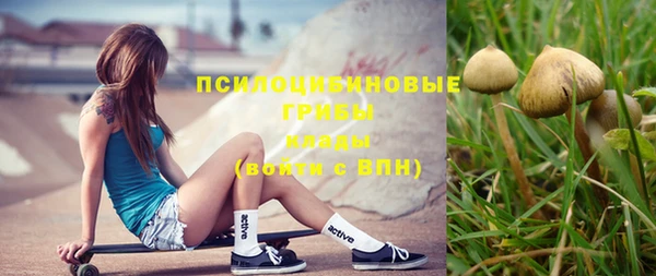 метадон Вяземский