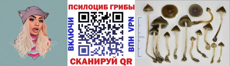 Купить где  Колпашево  Галлюциногенные грибы ЛСД 