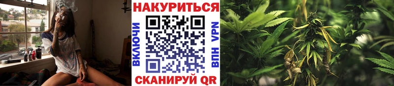 Купить где  Колпашево  Бошки марихуана OG Kush 